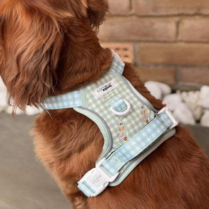 Silly Goose Explore Harness - XL