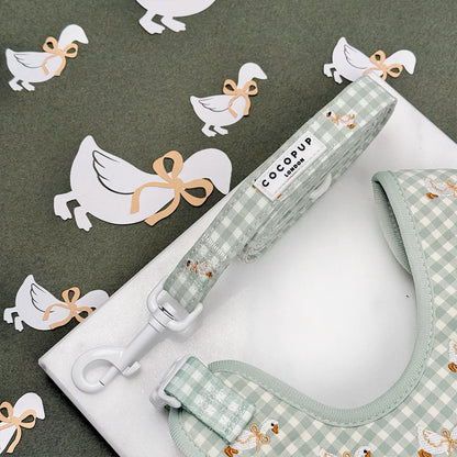 Silly Goose Leash
