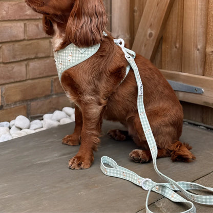 Silly Goose Leash
