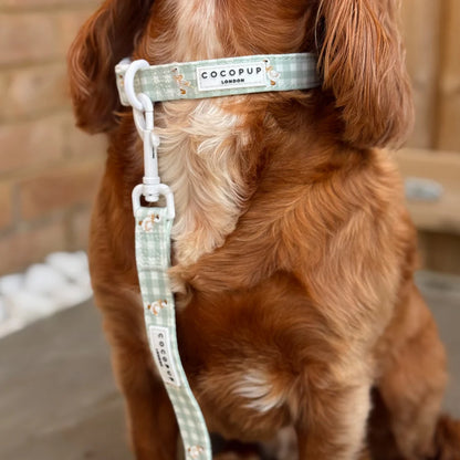 Silly Goose Leash