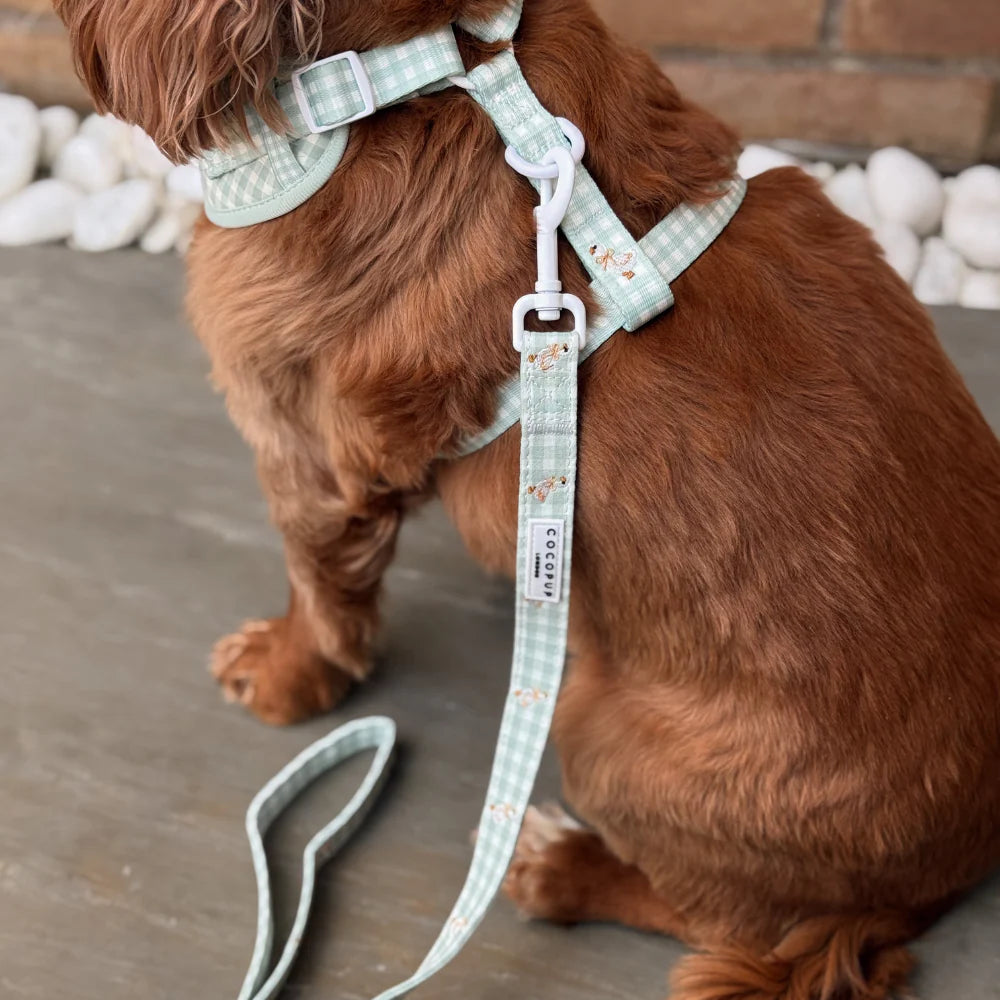 Silly Goose Leash