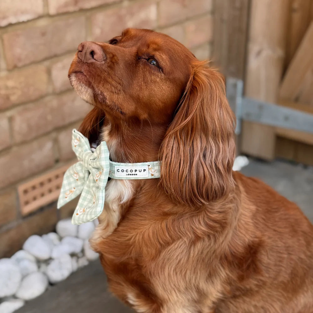 Silly Goose Collar