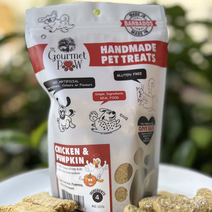 Chicken & Pumpkin Dog Treats