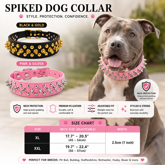 Regal Stud Collar
