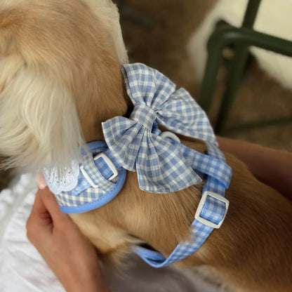 English Blue Sailor Bow