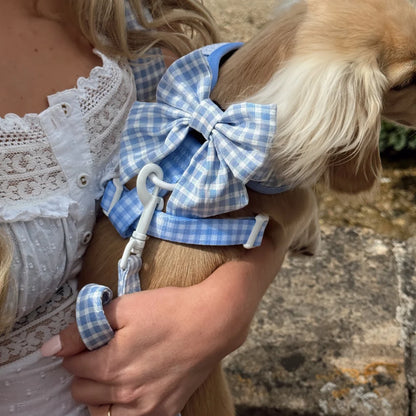 English Blue Sailor Bow