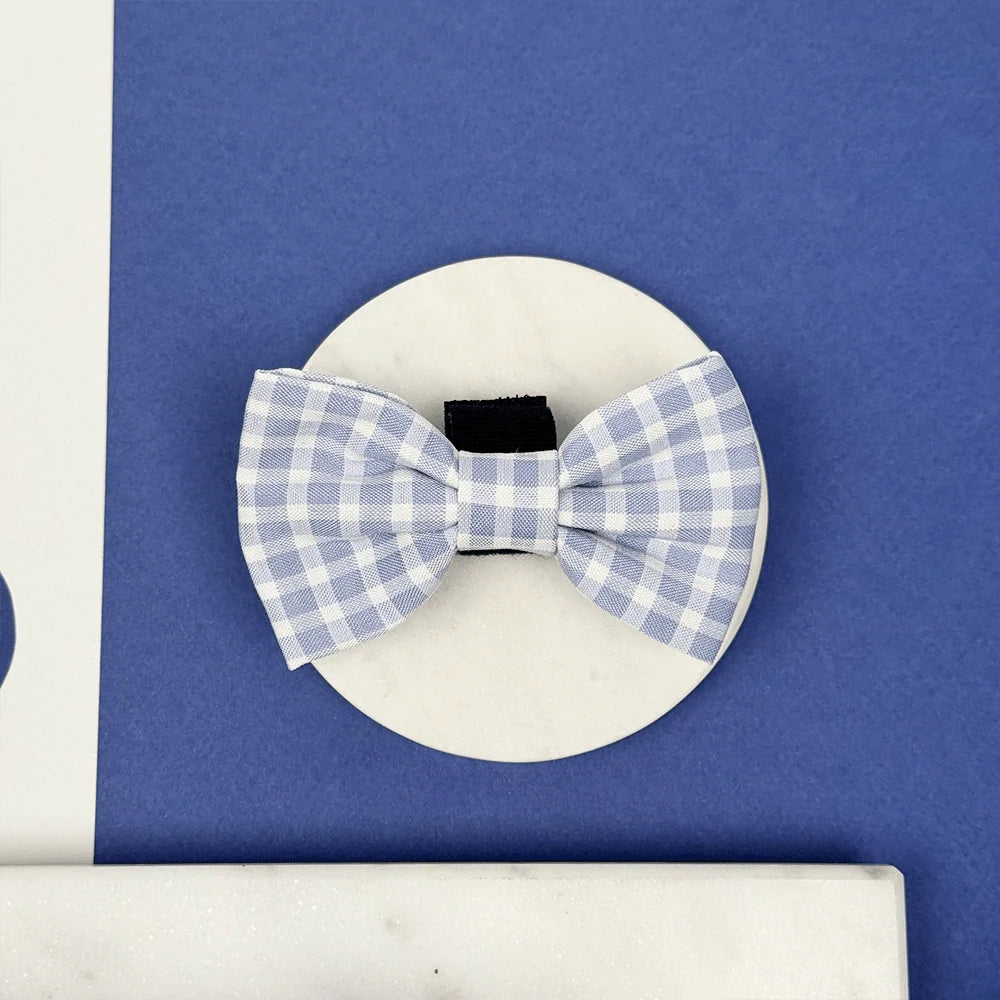 English Blue Bow Tie