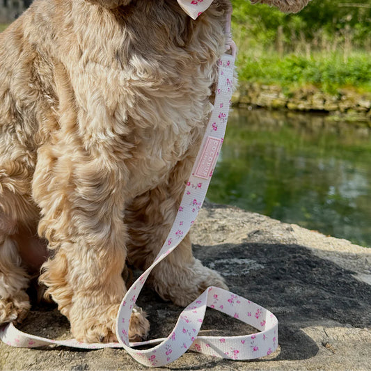 English Rose Leash