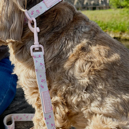English Rose Leash