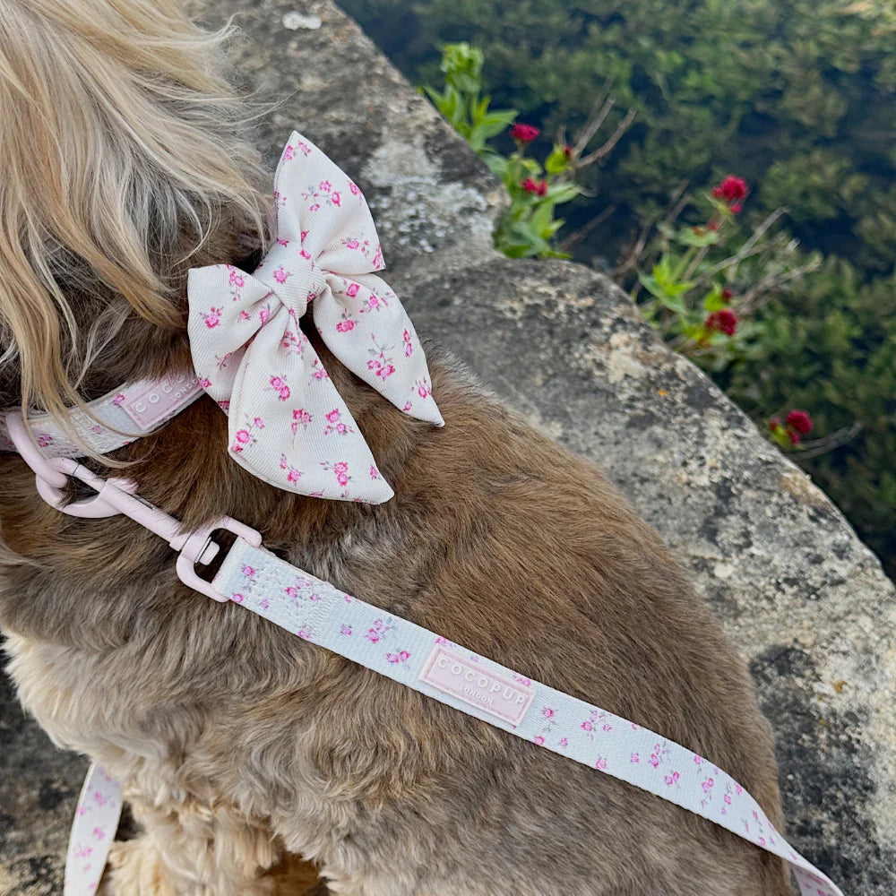 English Rose Leash