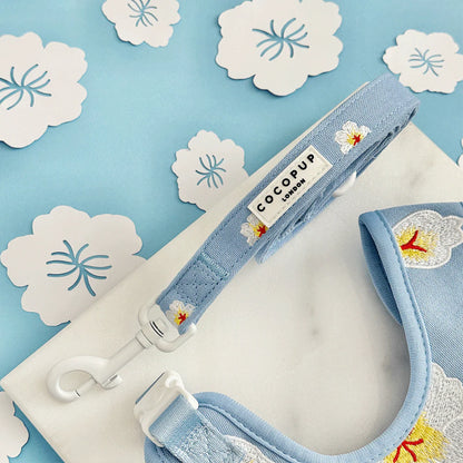 Blue Lagoon Leash