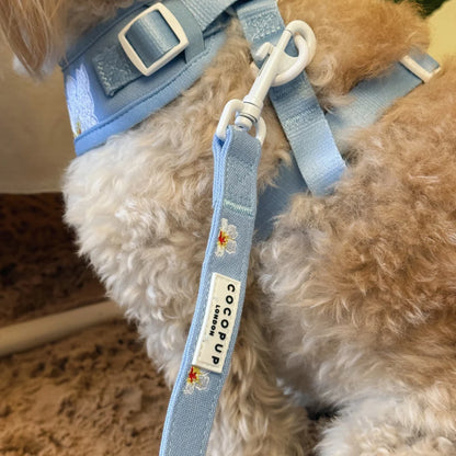 Blue Lagoon Leash