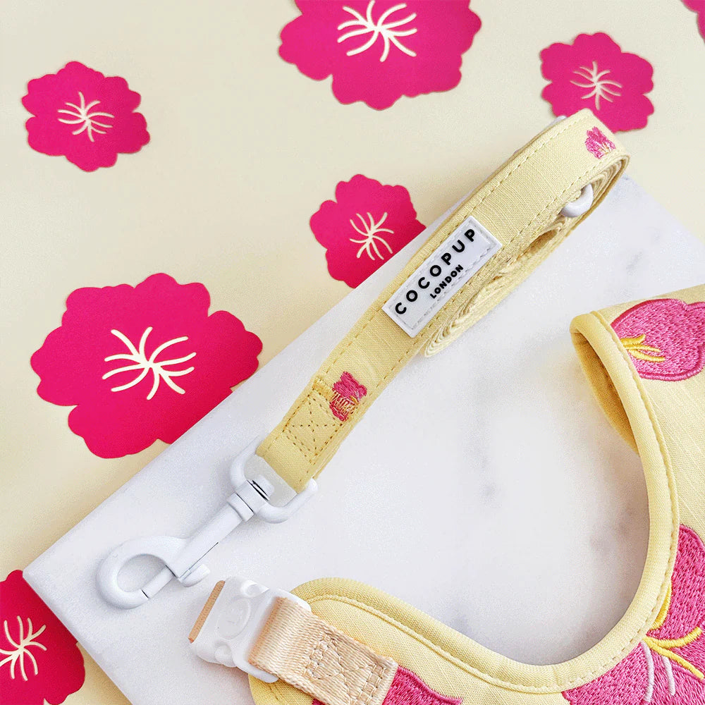 Pink Hibiscus Leash
