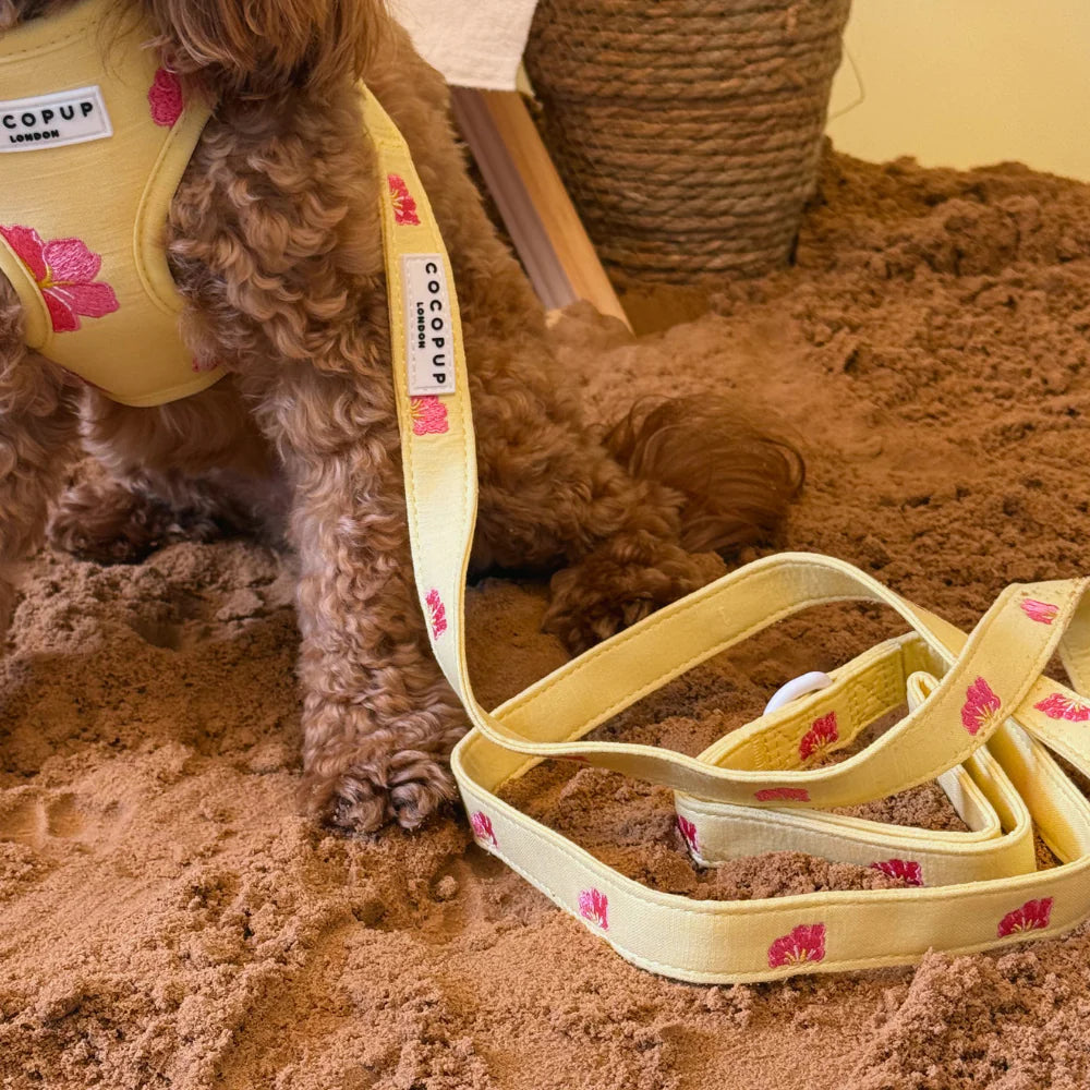 Pink Hibiscus Leash