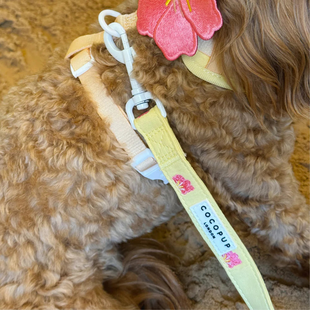 Pink Hibiscus Leash