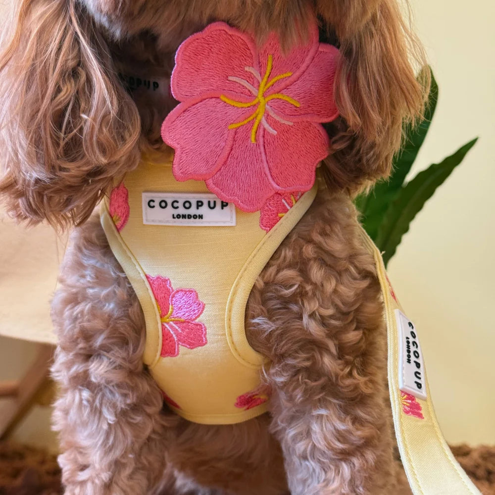 Pink Hibiscus Flower Bow