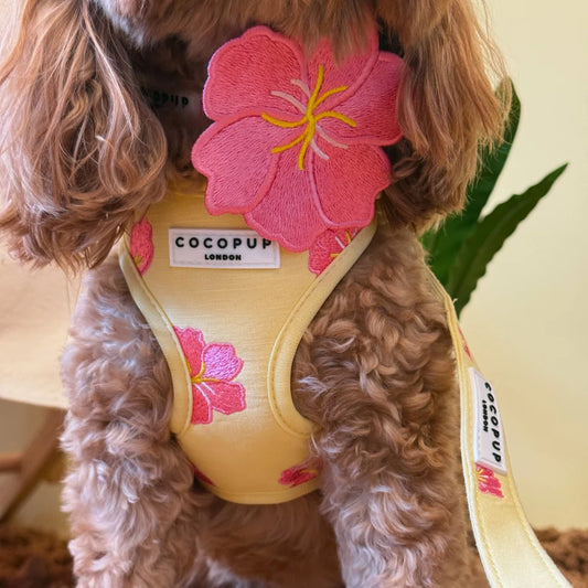 Pink Hibiscus Flower Bow