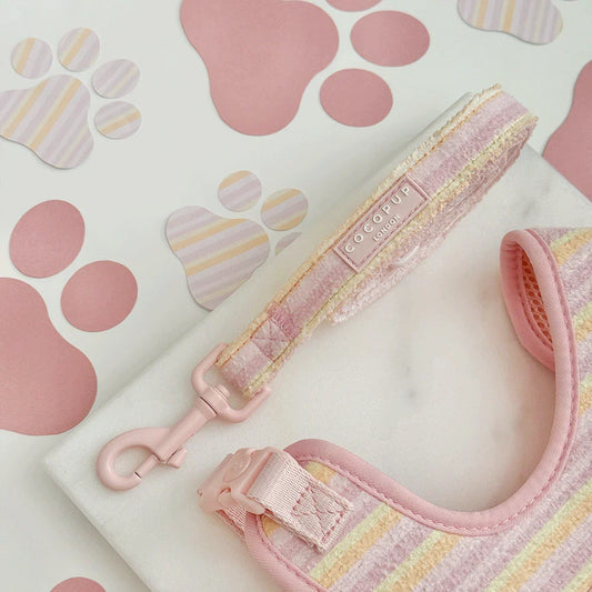 Pastel Stripes Cabana Leash