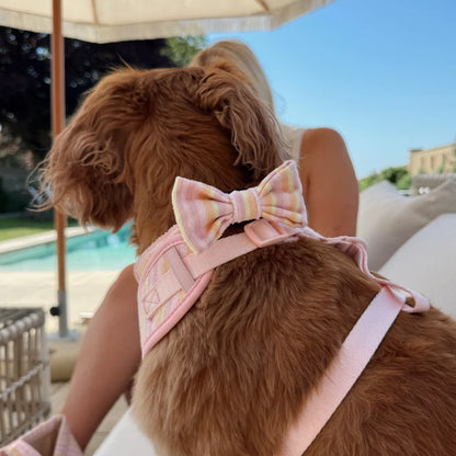 Pastel Stripes Cabana Bow Tie