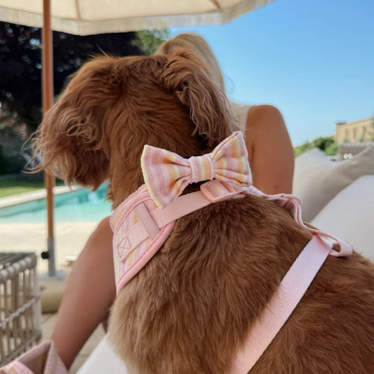 Pastel Stripes Cabana Bow Tie
