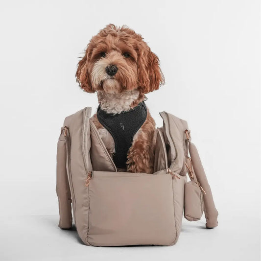 The Puffer Dog Carrier - Payment Plan Available