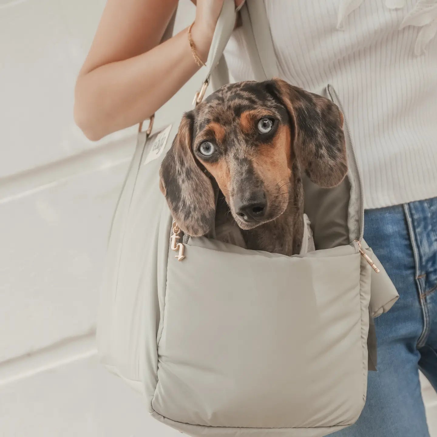 The Puffer Dog Carrier - Payment Plan Available