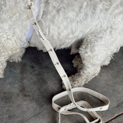 Palm Springs Leash