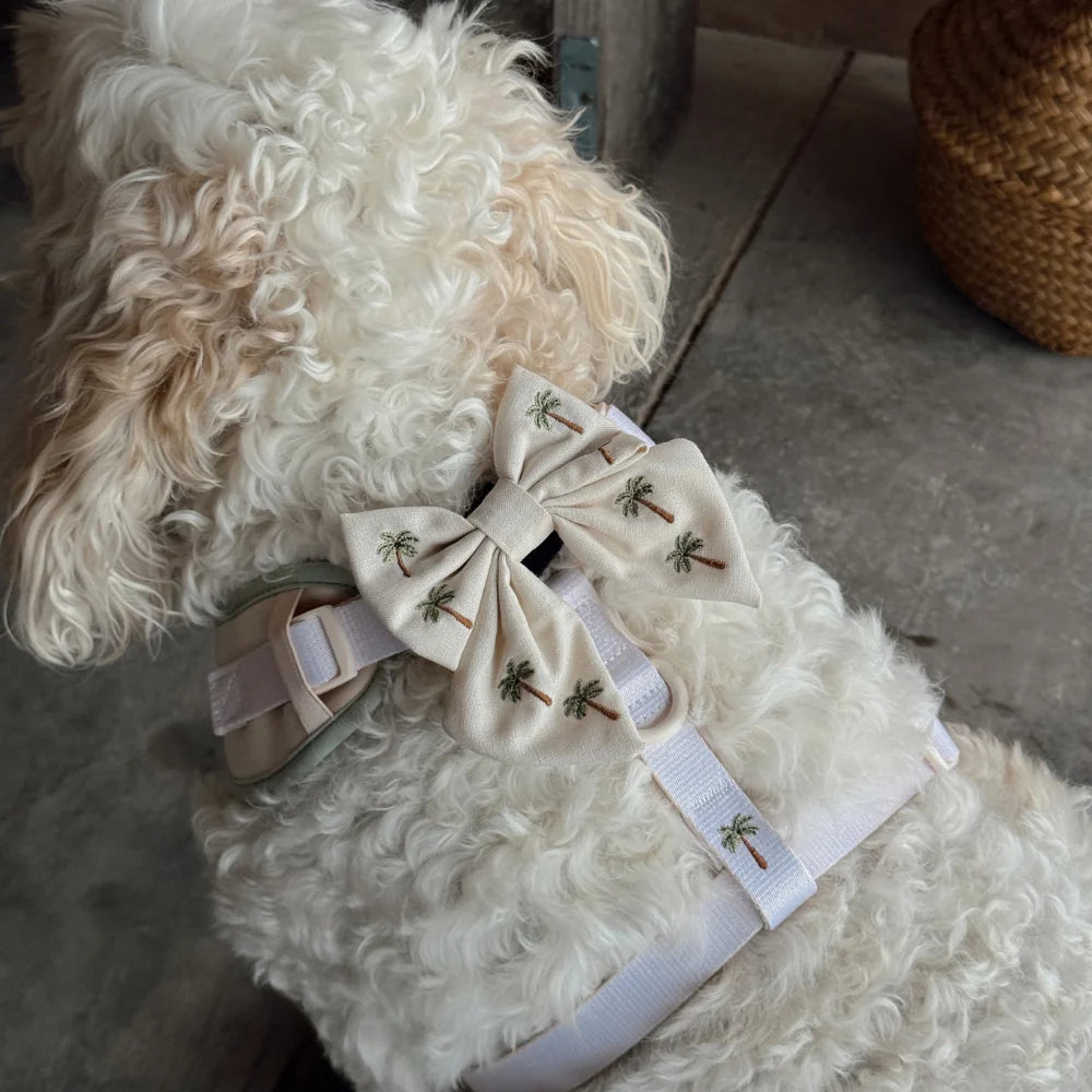 Palm Springs Sailor Bow