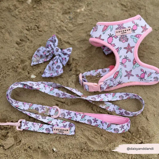 Pawcific Leash