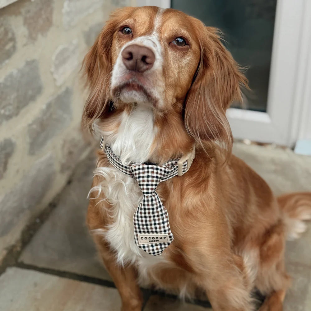 Heritage Dog Tie