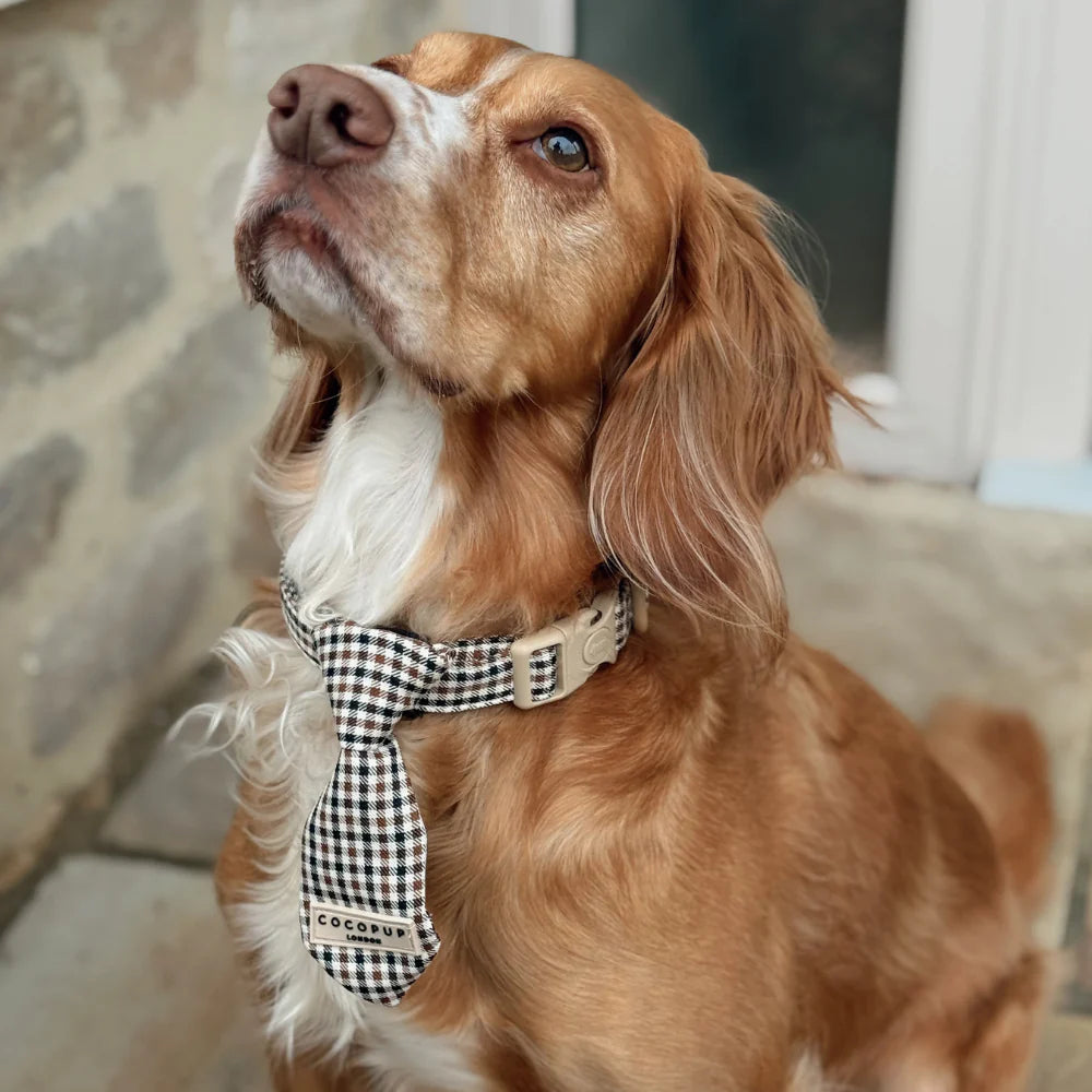Heritage Dog Tie