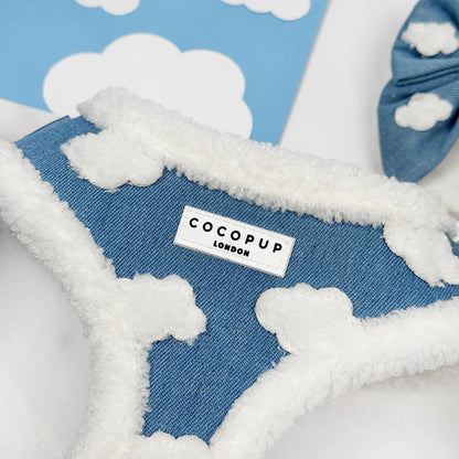 Cloud Nine Harness