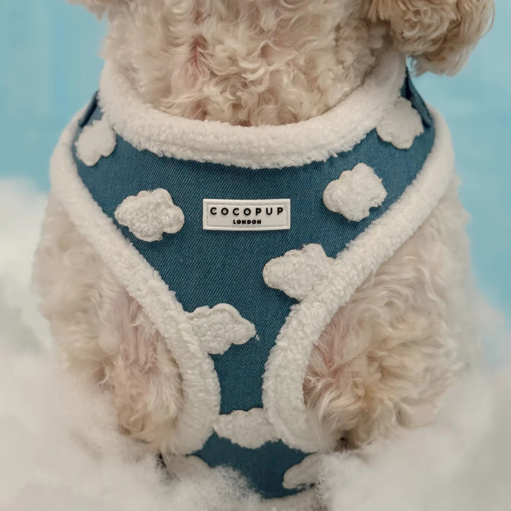Cloud Nine Harness
