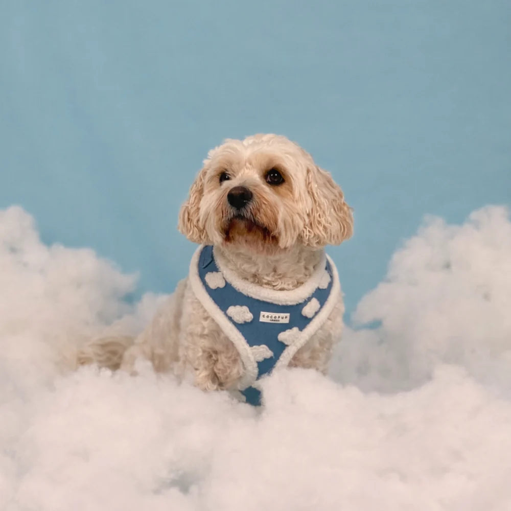 Cloud Nine Harness