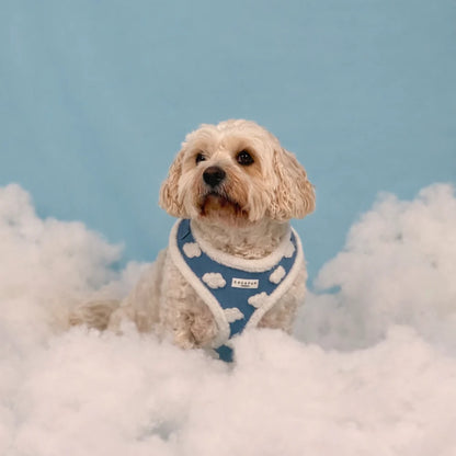 Cloud Nine Harness