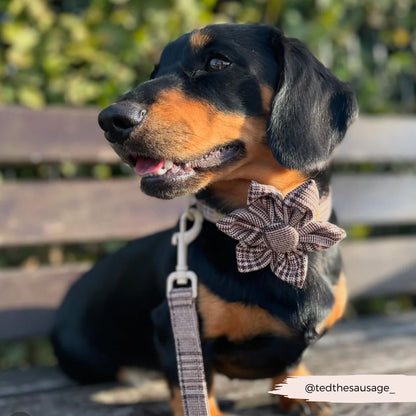 Pup Plaid Flower Bow Tie