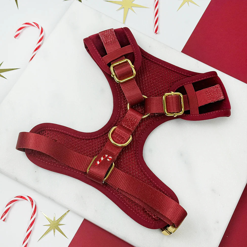 Muttcracker Harness
