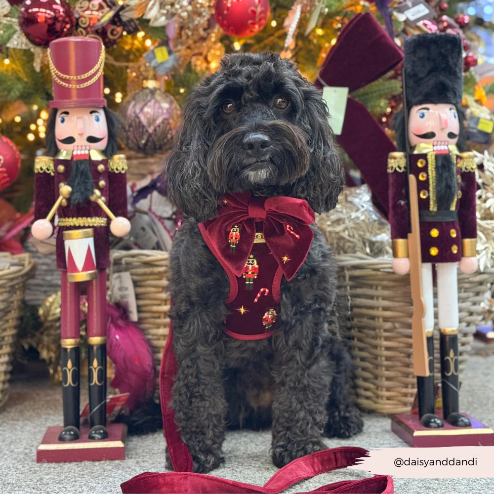 Muttcracker Sailor Bow Tie