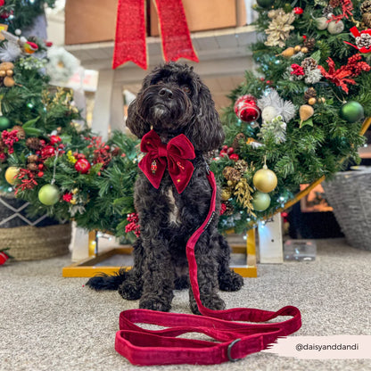 Muttcracker Sailor Bow Tie