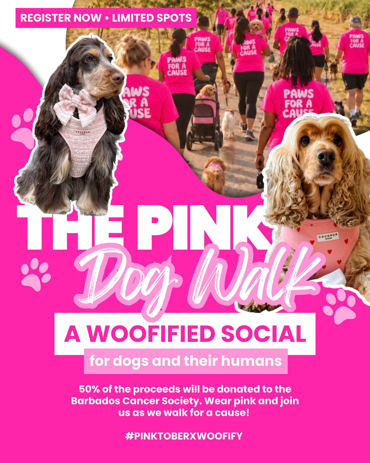 The Pink Dog Walk Ticket
