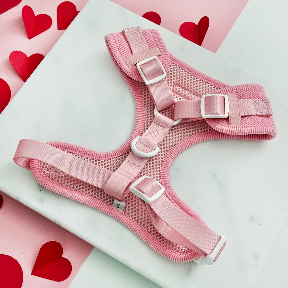 Pink Heartstrings - Adjustable Dog Harness