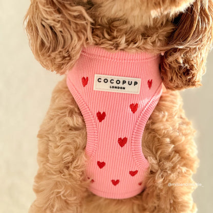 Pink Heartstrings - Adjustable Dog Harness