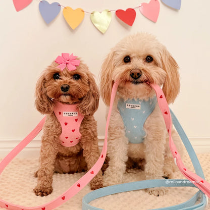 Pink Heartstrings - Adjustable Dog Harness