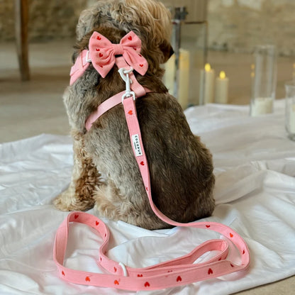 Pink Heartstrings - Adjustable Dog Harness