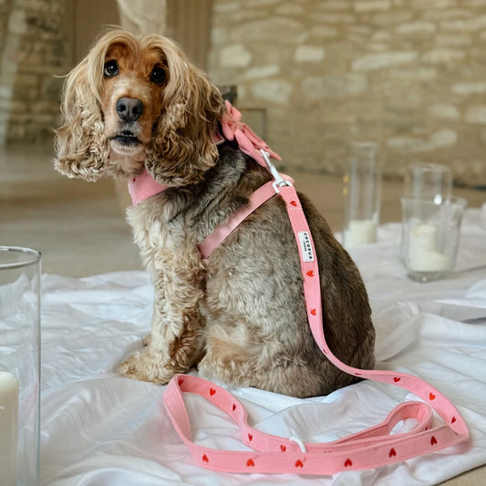 Pink Heartstrings Leash