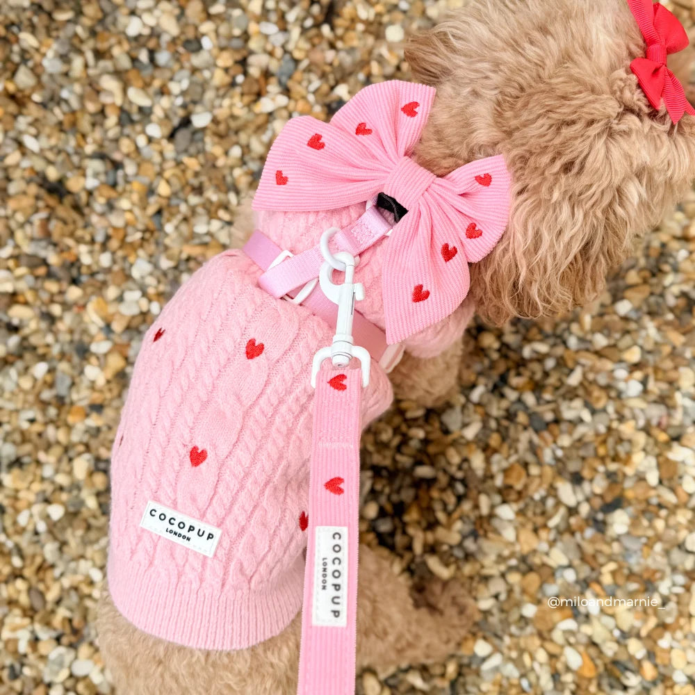 Pink Heartstrings Leash
