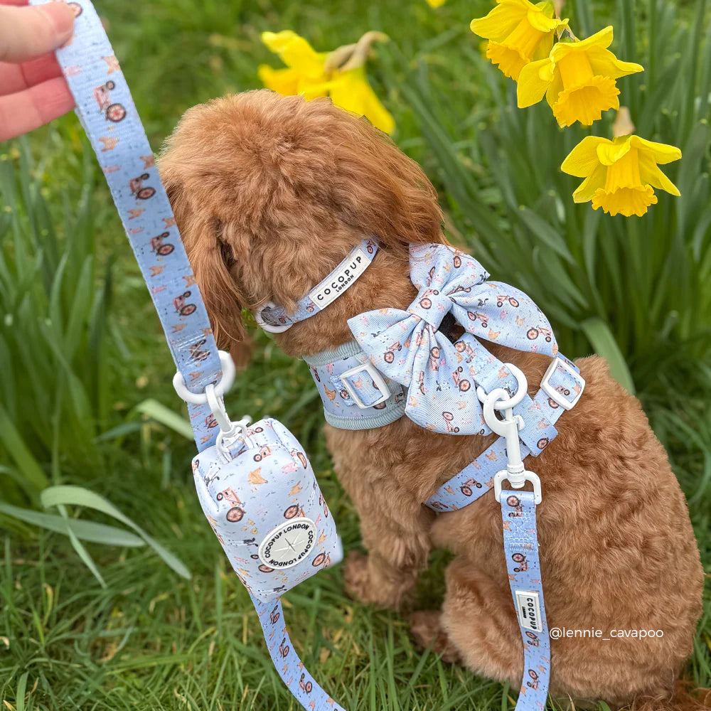 Barnyard Leash