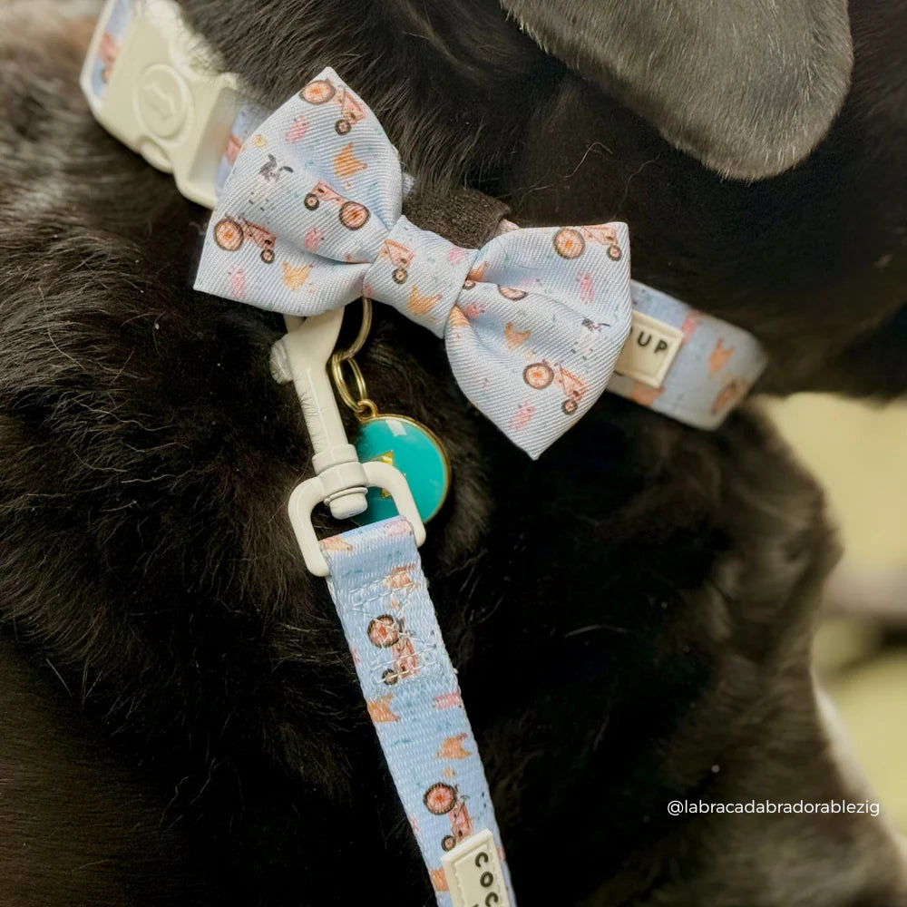 Barnyard Bow Tie