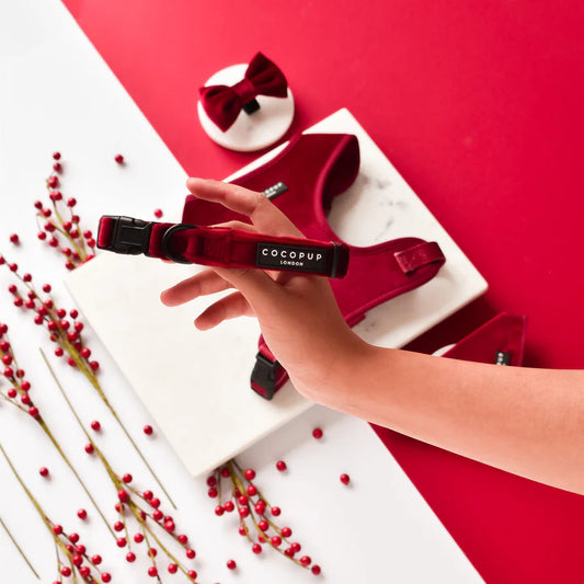 Luxe Red Velvet Collar