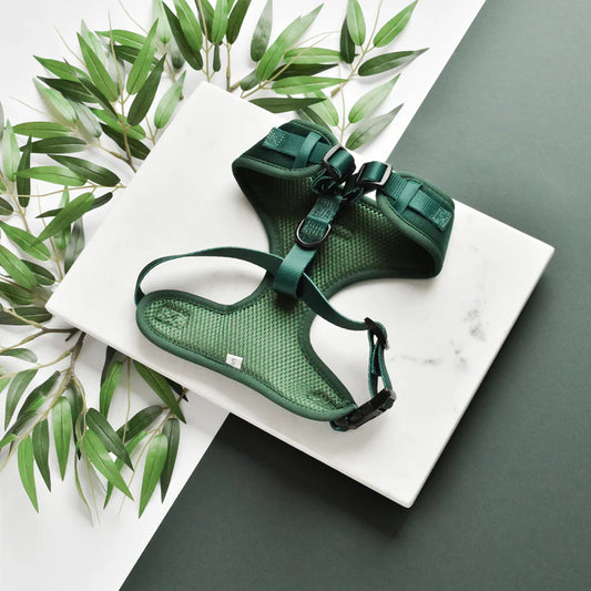 Luxe Green Velvet Harness